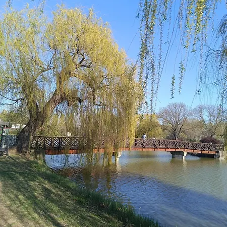 Sweet Nyíregyháza